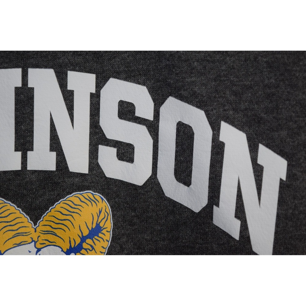 2020 Under Armour Robinson High School Fairfax VA Hoodie Sweatshirt MENS S Gray - Picture 6 of 16